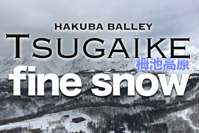 tsugaike/Hakuba/japan/snowboard01